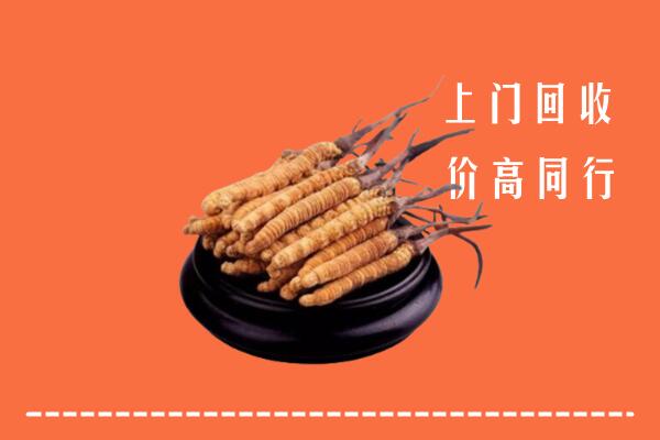 高价求购：湛江回收散虫草
