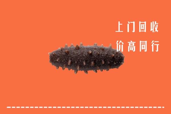 高价求购：湛江回收海参